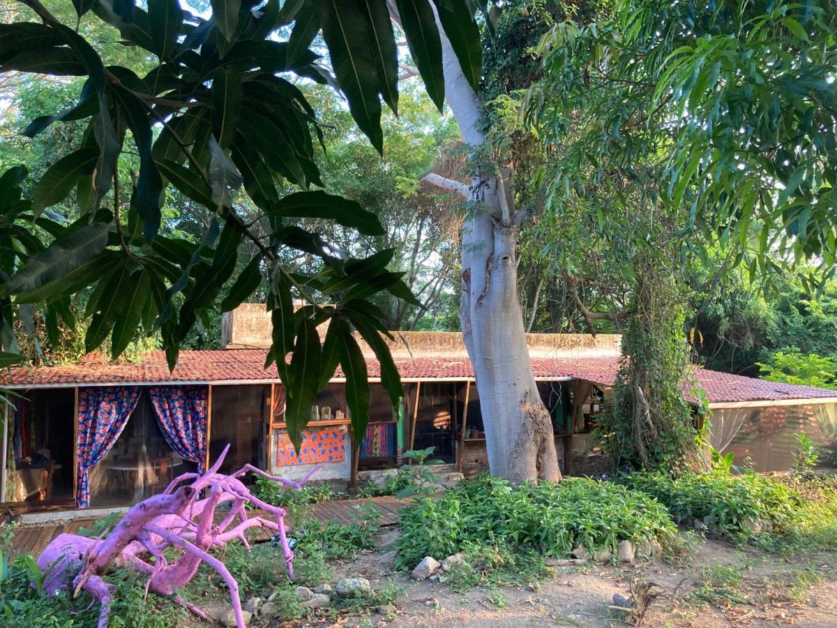 Planta Glamp Farm Hotel Santa Maria Huatulco Exterior photo